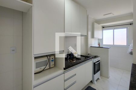 Cozinha de apartamento para alugar com 2 quartos, 46m² em Vila Caiçara, Praia Grande