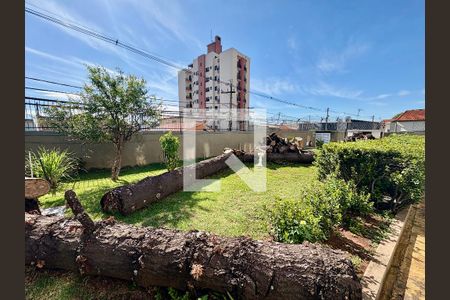 Área comum - Jardim de apartamento à venda com 3 quartos, 110m² em Vila Pirapora, Jundiaí