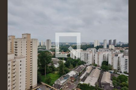 Vista da Sala de apartamento para alugar com 2 quartos, 38m² em Vila Sofia, São Paulo