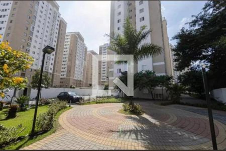 Apartamento à venda com 3 quartos, 62m² em Vila Moreira, São Paulo