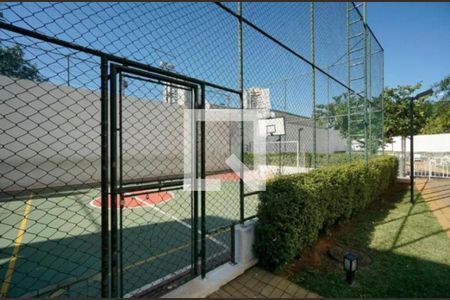 Apartamento à venda com 3 quartos, 62m² em Vila Moreira, São Paulo