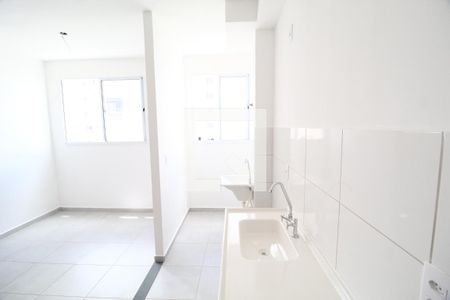 Cozinha de apartamento para alugar com 2 quartos, 47m² em Shopping Park, Uberlândia
