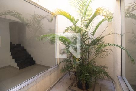 Jardim de casa para alugar com 4 quartos, 150m² em Jardim Maringa, São Paulo