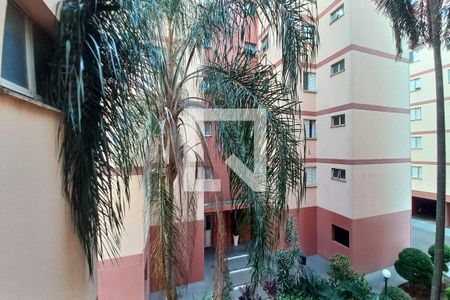 Apartamento à venda com 87m², 3 quartos e 1 vagaVista do Quarto 1