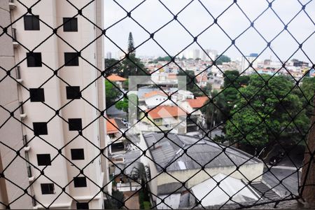 Detalhe - Área de Serviço de apartamento à venda com 2 quartos, 60m² em Vila Primavera, São Paulo