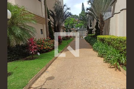 Área comum de apartamento à venda com 2 quartos, 60m² em Vila Primavera, São Paulo