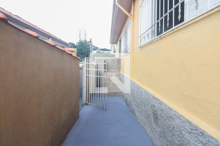 Quintal e Entrada  de casa para alugar com 2 quartos, 105m² em Vila Mafra, São Paulo