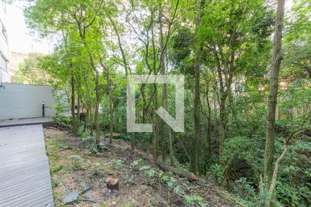 Área comum de apartamento à venda com 5 quartos, 620m² em Três Figueiras, Porto Alegre