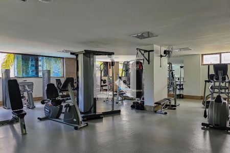 Área comum - Academia de apartamento à venda com 4 quartos, 274m² em Belvedere, Belo Horizonte