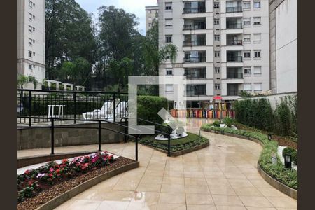 Apartamento à venda com 2 quartos, 65m² em Vila Suzana, São Paulo