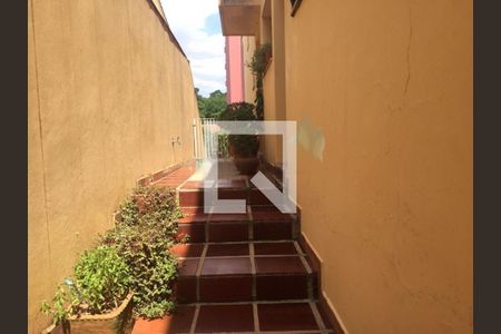 Casa à venda com 3 quartos, 175m² em Vila Morse, São Paulo