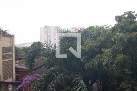 Vista de apartamento para alugar com 1 quarto, 35m² em Santo Amaro, São Paulo