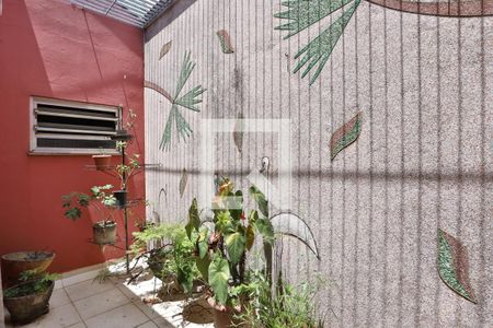 Jardim de inverno  de casa para alugar com 3 quartos, 220m² em Vila Invernada, São Paulo
