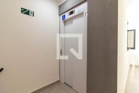 Área comum - Elevador de apartamento à venda com 2 quartos, 50m² em Água Fria, São Paulo