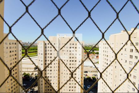Vista do Quarto 1 de apartamento à venda com 2 quartos, 49m² em Ponte Grande, Guarulhos