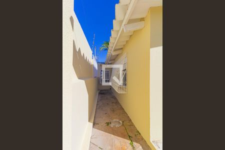 Quintal de casa para alugar com 3 quartos, 150m² em Rio Branco, Canoas