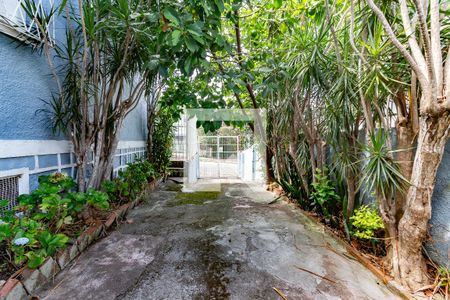 Quintal de casa à venda com 3 quartos, 150m² em Cascata, Porto Alegre