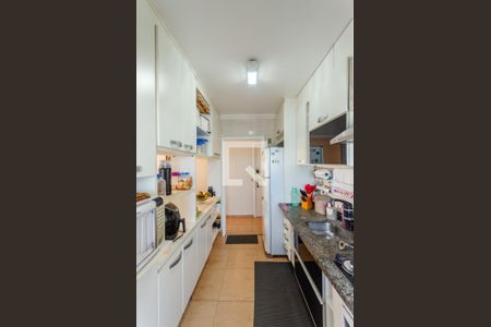 Cozinha de apartamento para alugar com 2 quartos, 62m² em Jaguará, São Paulo