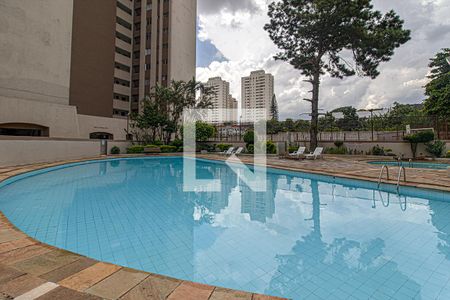 Área comum - Piscina de apartamento para alugar com 2 quartos, 64m² em Vila Vermelha, São Paulo