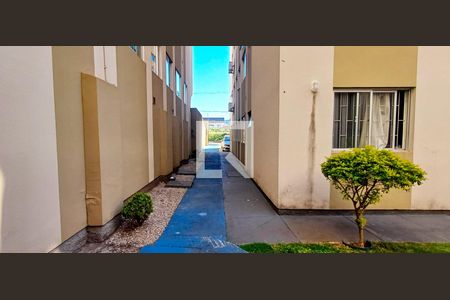 Área comum de apartamento para alugar com 2 quartos, 48m² em Serraria, São José