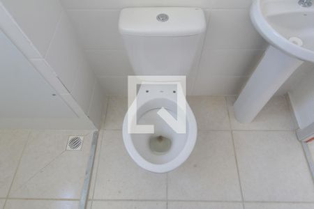 Banheiro Social de apartamento para alugar com 2 quartos, 48m² em Serrano, Belo Horizonte