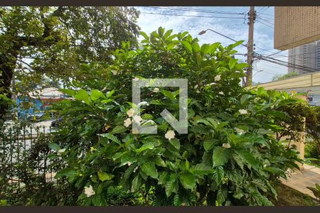 Vista de apartamento à venda com 3 quartos, 84m² em Campestre, Santo André