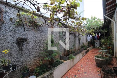 Quintal de casa à venda com 4 quartos, 200m² em Serra, Belo Horizonte