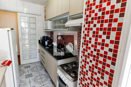 Cozinha - Armários de apartamento à venda com 2 quartos, 55m² em Jardim Monte Alegre, Taboão da Serra
