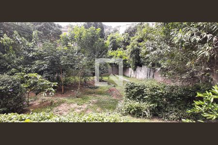 Espaço Pet de apartamento para alugar com 2 quartos, 50m² em Padroeira, Osasco