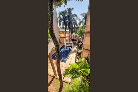 Área comum - Piscina de apartamento para alugar com 2 quartos, 54m² em Jardim Marieta, Osasco
