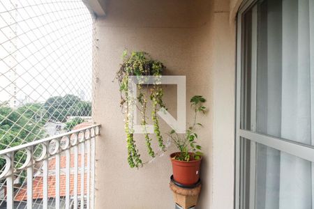 Varanda  de apartamento à venda com 3 quartos, 74m² em Vila Nova Manchester, São Paulo