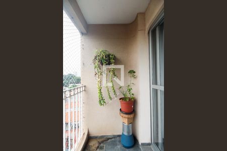 Varanda  de apartamento à venda com 3 quartos, 74m² em Vila Nova Manchester, São Paulo