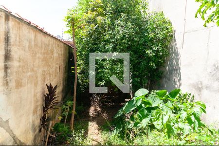 Quintal de casa à venda com 4 quartos, 160m² em Vila Anglo Brasileira, São Paulo