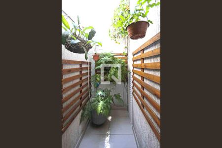 Jardim de Inverno de casa à venda com 3 quartos, 87m² em Jardim Vila Formosa, São Paulo