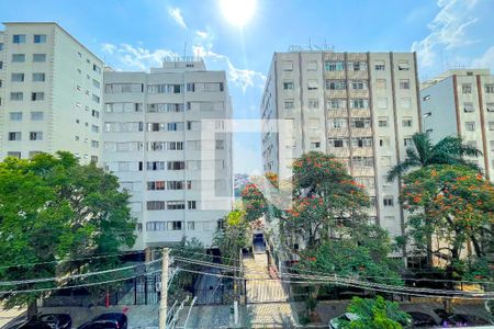 Vista de kitnet/studio para alugar com 1 quarto, 24m² em Vila Madalena, São Paulo
