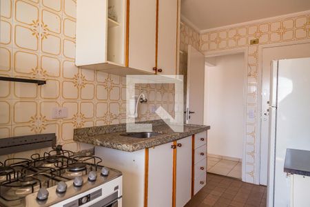 Cozinha de apartamento para alugar com 2 quartos, 60m² em Cidade Vargas, São Paulo