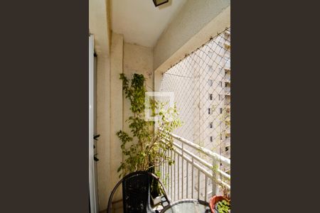 Varanda da Sala de apartamento à venda com 2 quartos, 53m² em Ponte Grande, Guarulhos