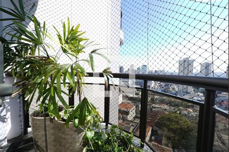 Varanda de apartamento para alugar com 3 quartos, 118m² em Ipiranga, São Paulo