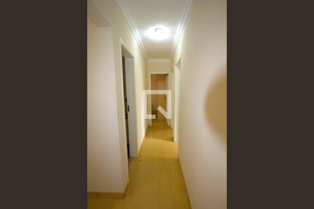 Corredor de apartamento à venda com 4 quartos, 85m² em Buritis, Belo Horizonte