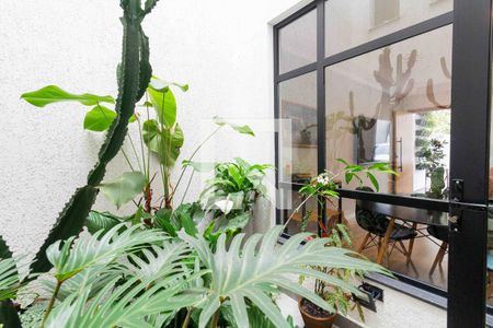Jardim de Inverno de casa à venda com 3 quartos, 118m² em Vila Matilde, São Paulo