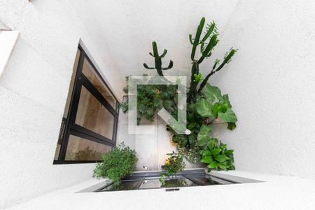Jardim de Inverno de casa à venda com 3 quartos, 118m² em Vila Matilde, São Paulo