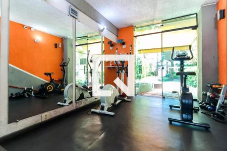 Área comum - Academia de apartamento à venda com 2 quartos, 50m² em Lauzane Paulista, São Paulo