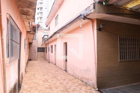 Quintal - Área comum de casa para alugar com 1 quarto, 379m² em Vila Curuçá Velha, São Paulo