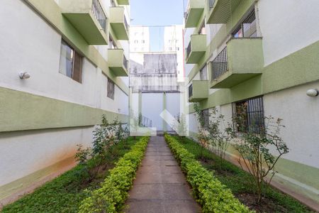 Área comum de apartamento à venda com 2 quartos, 65m² em Suísso, São Bernardo do Campo
