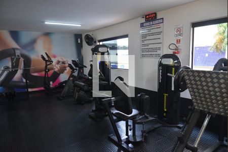 Área comum - Academia 2 de apartamento para alugar com 2 quartos, 50m² em Utinga, Santo André