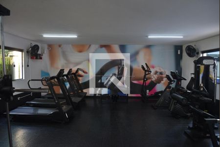 Área comum - Academia 2 de apartamento para alugar com 2 quartos, 50m² em Utinga, Santo André