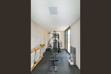 Área comum - Academia de apartamento à venda com 4 quartos, 228m² em Santa Lúcia, Belo Horizonte