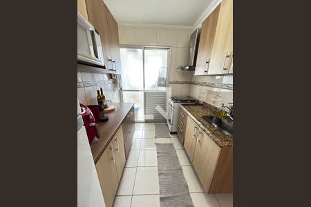 Cozinha de apartamento para alugar com 2 quartos, 48m² em Quinta da Paineira, São Paulo