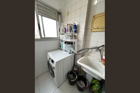 Lavanderia de apartamento para alugar com 2 quartos, 48m² em Quinta da Paineira, São Paulo