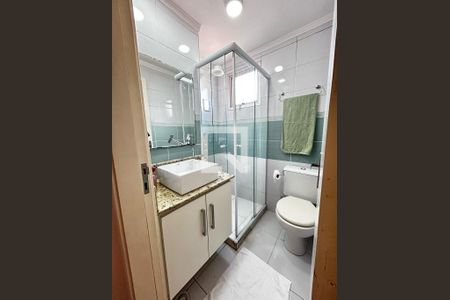 Banheiro de apartamento para alugar com 2 quartos, 48m² em Quinta da Paineira, São Paulo